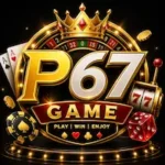 P67 Game