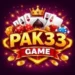Pak33 Game