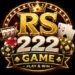 RS 222 Game
