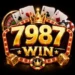 7987 Win