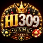 HI309 Game